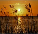 Sonnenuntergang am IJsselmeer